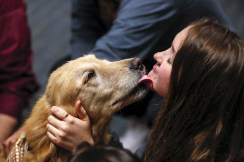 Dog licks a student's face